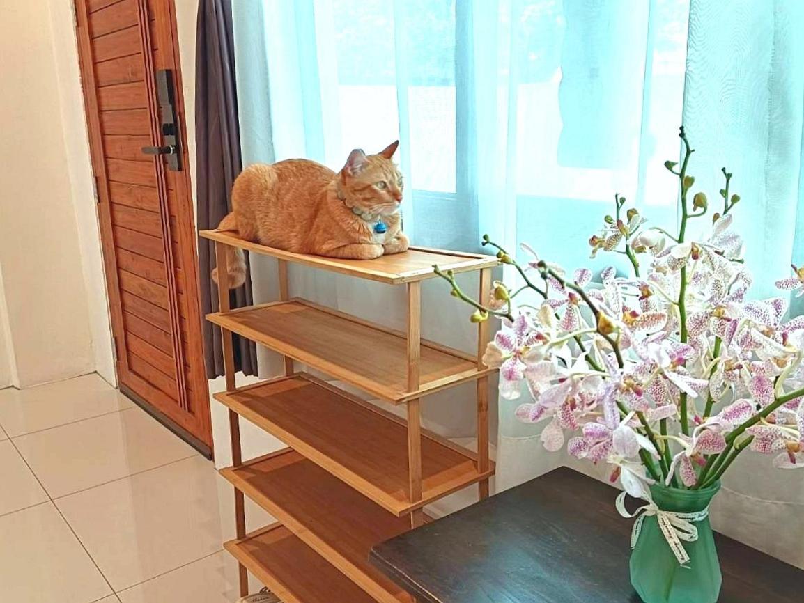 Sasima Bed And Breakfast Chiang Mai Buitenkant foto